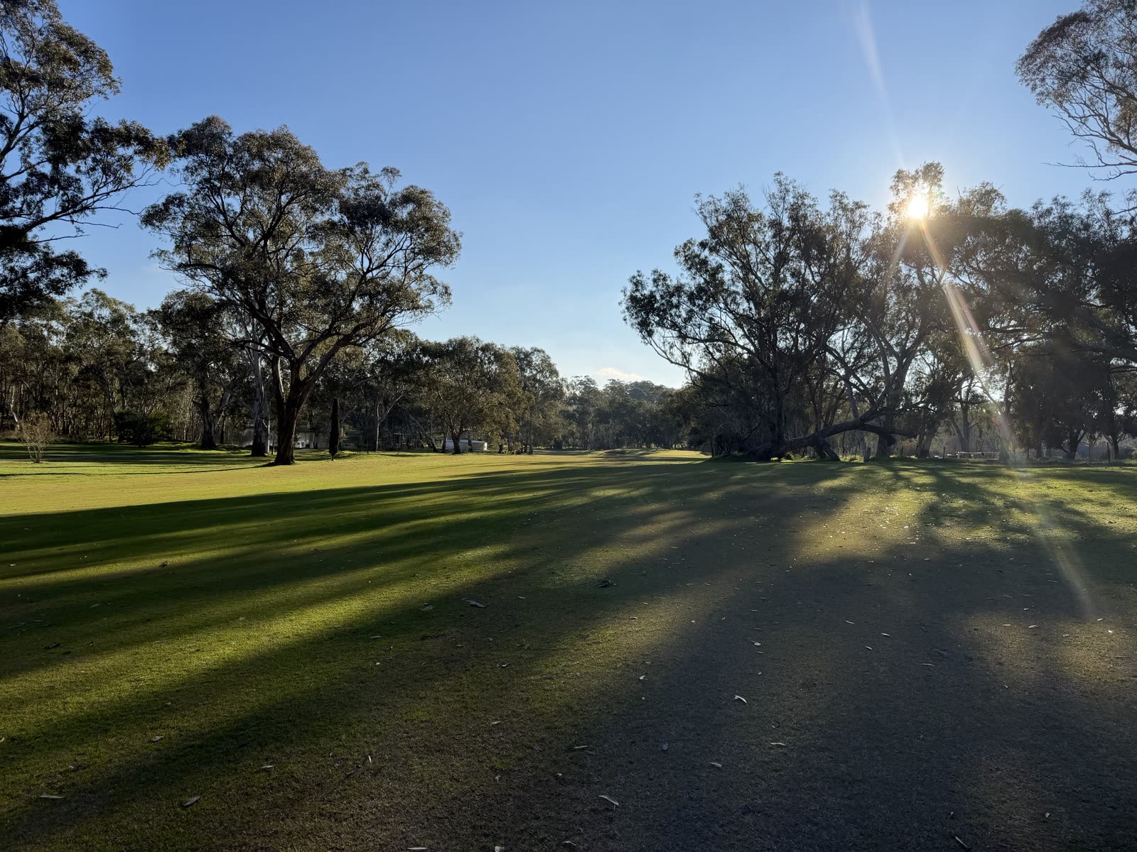 Hole 2 at Belvoir Park Golf Club.