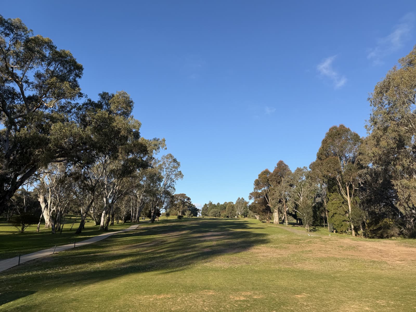 The uphill par 3 fifth hole.